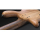 WARWICK STREAMER LX5 (NATURAL OF)