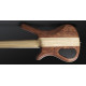 WARWICK CORVETTE $$ 5 NT BUBINGA