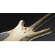 WARWICK CORVETTE $$ 4 (NATURAL OF)
