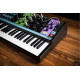 MOOG MATRIARCH
