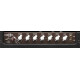 LANEY CUB12R