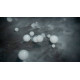 CHAUVET Hurricane Bubble Haze
