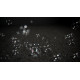 CHAUVET Hurricane Bubble Haze