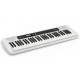 CASIO CT-S200WE