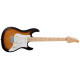 FUJIGEN EOS-ASH-M/2TS