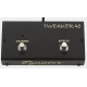 EGNATER TWEAKER 40