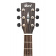 CORT EARTH 100F NS