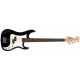 WASHBURN SB1PB