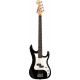 WASHBURN SB15PB