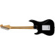 WASHBURN SB15PB