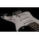 WASHBURN SB15PB