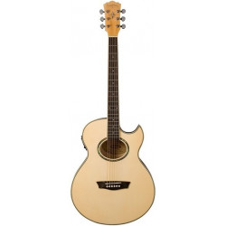 WASHBURN EA20 TS