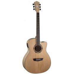 WASHBURN AG40CE