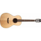 WASHBURN WP33SRS