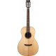 WASHBURN WP33SRS