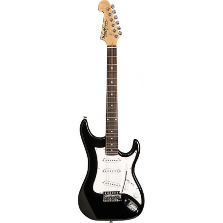 WASHBURN S1B