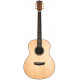WASHBURN  ELEGANTE S24S