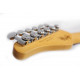 SCHECTER NICK JOHNSTON DS TRAD A.SLVR