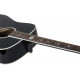SCHECTER RS-1000 STAGE ACOUSTIC