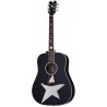 SCHECTER RS-1000 STAGE ACOUSTIC