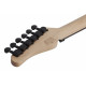 SCHECTER SUN VALLEY SS FR S BGRN
