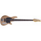 SCHECTER CV-5 GNAT