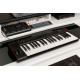 IK MULTIMEDIA IRIG KEYS 2 PRO