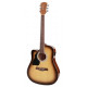 RICHWOOD RD-12LCE SB