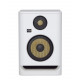 KRK RP5 G4 WN White Noise