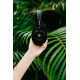 Grado GW100