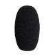 Audio-Technica BPHS2C