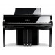 KAWAI NV10