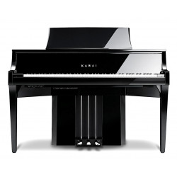 KAWAI NV10