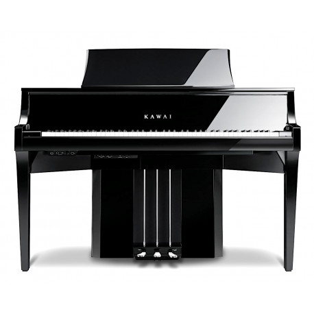 KAWAI NV10