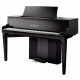 KAWAI NV10