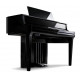 KAWAI NV10