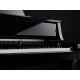 KAWAI NV10