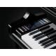 KAWAI NV10