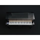 KAWAI NV10