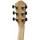 IBANEZ AEG7MH-OPN