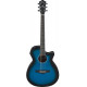 IBANEZ AEG7-TBO