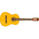 FENDER ESC80