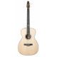 SEAGULL 047772 - ARTIST STUDIO CH NATURAL EQ WITH TRIC