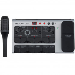 ZOOM V6