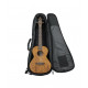 GATOR GB-4GUKE TEN