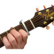PLANET WAVES PW-CP-02S NS CAPO (SILVER)