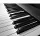 ROLAND A-88MKII
