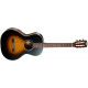 CORT AP550 (Vintage Burst) w/Bag