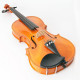 STRUNAL STRADIVARIUS 29WA 4/4