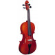 STRUNAL STRADIVARIUS 3/4 29WA 4/4
